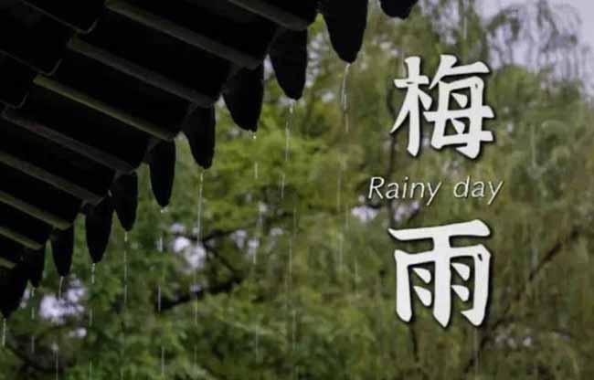 梅雨季节风湿骨病高发？如何护关节、祛风湿？