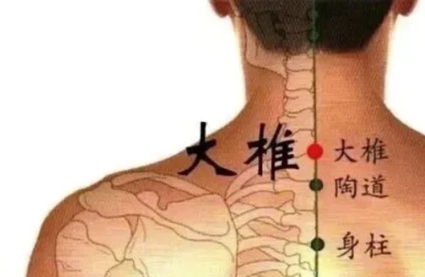 秋冬季节外出,养成带围巾的习惯,益处多多!